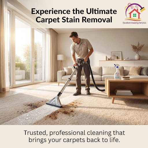 - Expert carpet stain removal solutions that protect your floors 🏠   post image