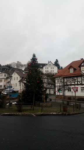 Hose Beteiligungs-GmbH - Thumbnail