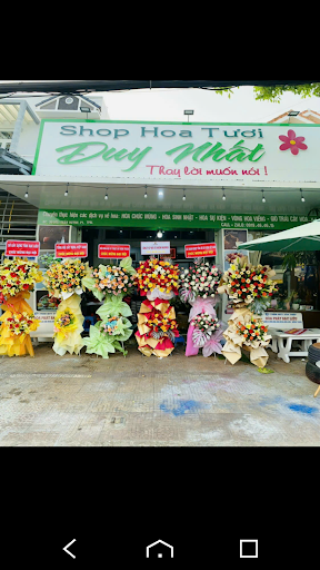 Shop