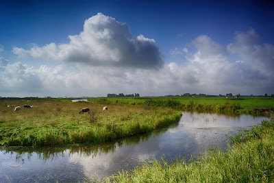Photos of it Dreaml&acirc;n