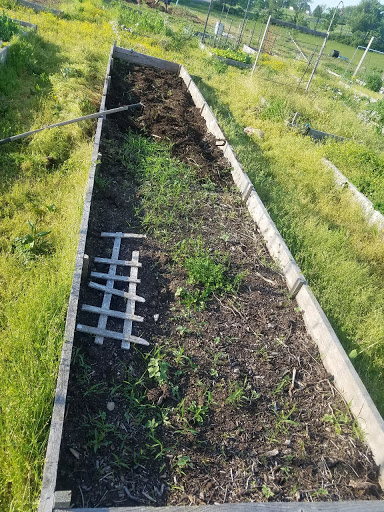 Asbury Seminary Community Garden - Thumbnail