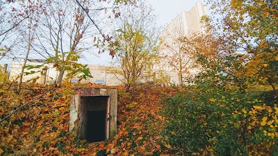 Photos of Tarptautine teises ir verslo aukstoji mokykla