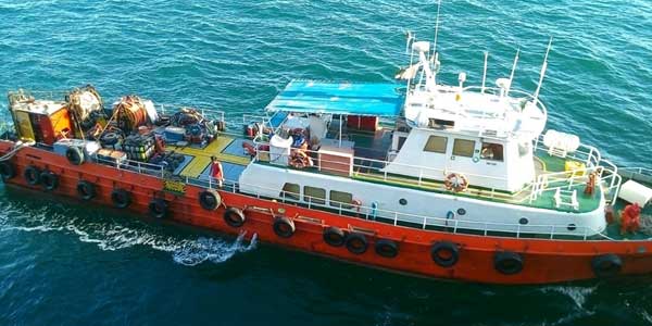 Spearo Zone Divining Services - صورة 2