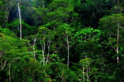 Photos of Bukit Pager Jawa