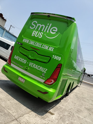 Smile Bus - Thumbnail