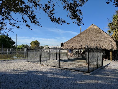 Photos of Wooten's Everglades Airboat Tours