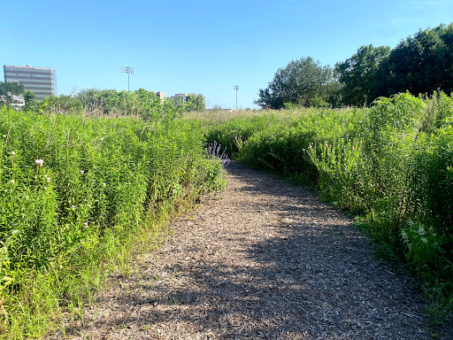 Native Texas Park - Visual