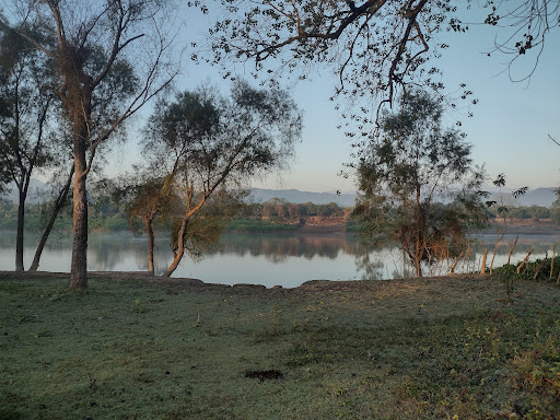cuayahual - Thumbnail