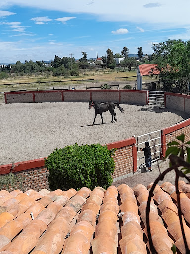 Centro Ecuestre Del Bajío Barbacoa & Granja & Caballos - Thumbnail