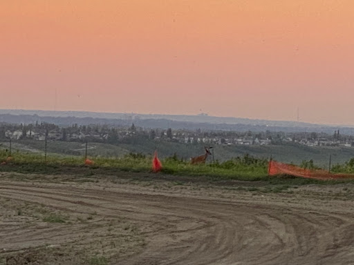 Legacy Sunset Point - Thumbnail