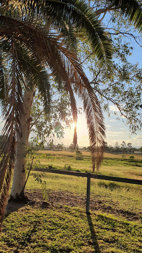 Main Dr at UQ Gatton Campus - Thumbnail