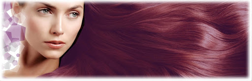 Hairstyle by Kim Lowe Logo