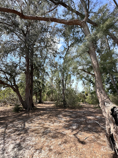 South Lido Lookout Bridge