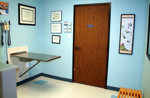 VCA Animal Care Hospital - Thumbnail