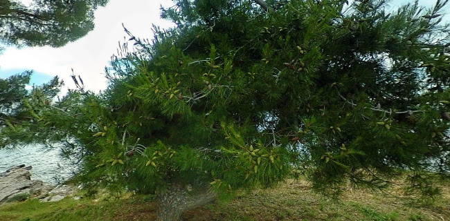 Svjetionik Savudrija - Umag