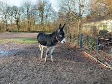 Heaton Park Animal Centre manchester