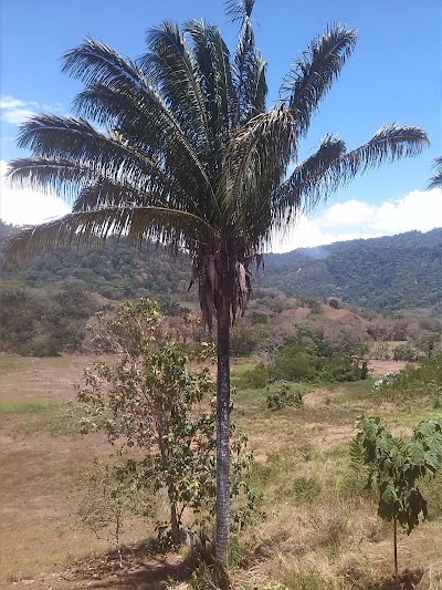Photos of Tipi Jungla Ecolodge