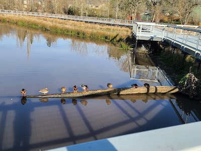 Boardman Wetlands and Nature Playground