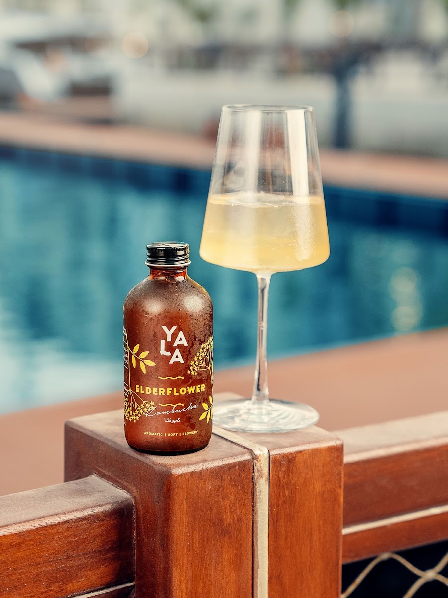 Yala Kombucha — photo 6