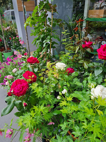 Fleuriste Tours - Nolina - Fleuriste