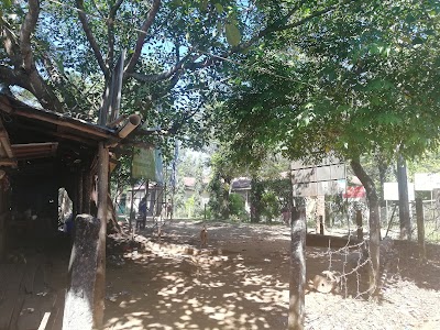 Photos of Niribili Boarding