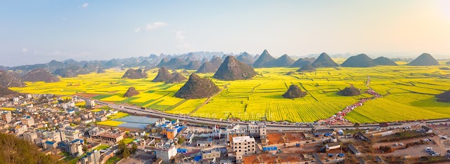 Luoping Rape Flower Main Exhibition Field