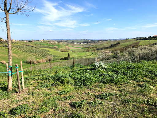 Visit Tuscanitalytravel.com - Thumbnail