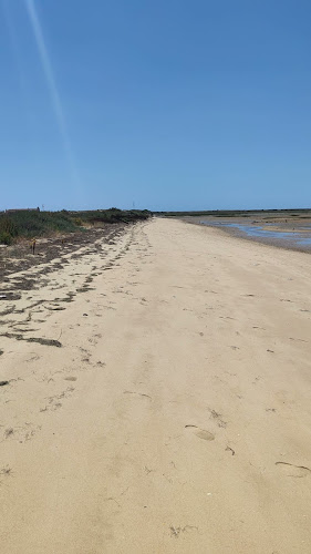 Cais Ilha da Culatra - Faro