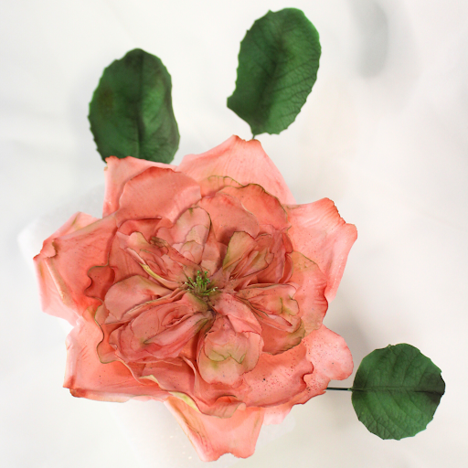The Bloom Cakes - Thumbnail