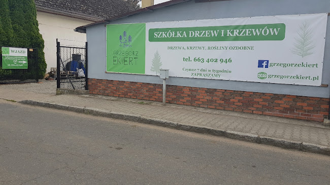 Szkółka Drzew i Krzewów Grzegorz Ekiert