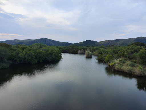 Estero Espantaperros