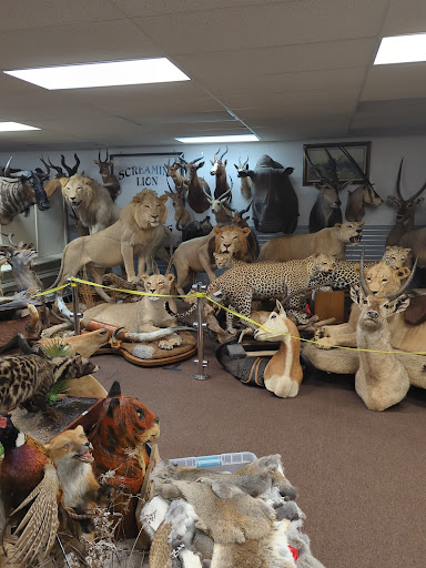 Screaming Lion Antiques - Thumbnail