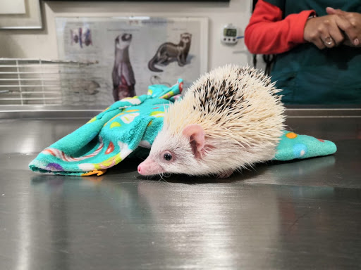 Exotic Pet Medical Center