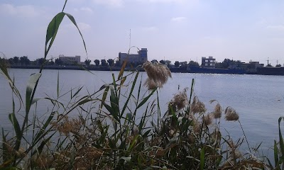 Photos of Almvgd resort