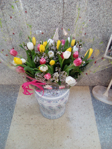 Floristeria La Pinada - Thumbnail