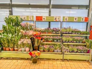 Photo n°9 de LIDL à Saint-Nazaire (Supermarché)
