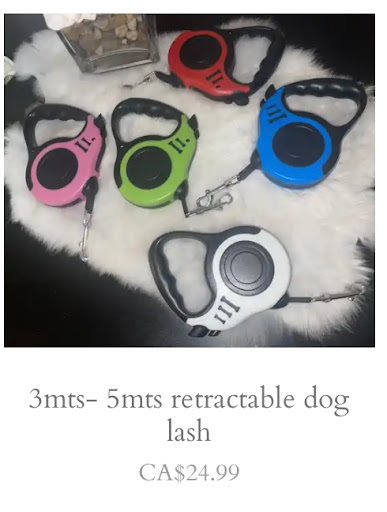 Cutie Paws Boutique Ltd. Gallery - Canada