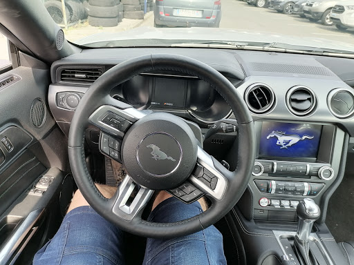 C. C. Net' Car - Thumbnail