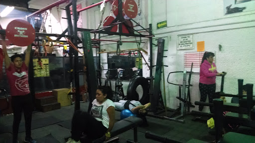 MASTINES GYM - Thumbnail