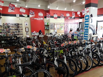 Photos of Rodalink Bike Shop