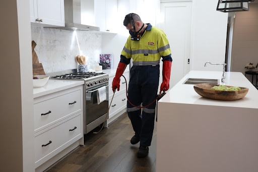 Flick Pest Control Currajong - Thumbnail