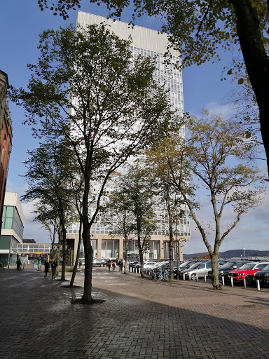 Arts Tower - Visual