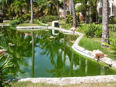 Photos of Be Live Grand Punta Cana