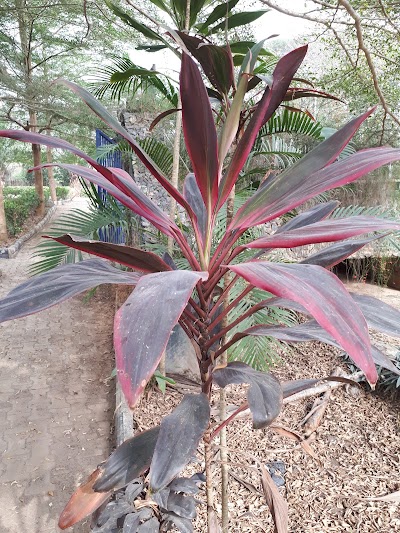 Photos of FUTA Botanical Garden