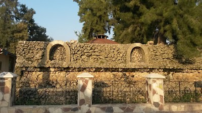 Photos of &Ccedil;ukurova Regional Airport