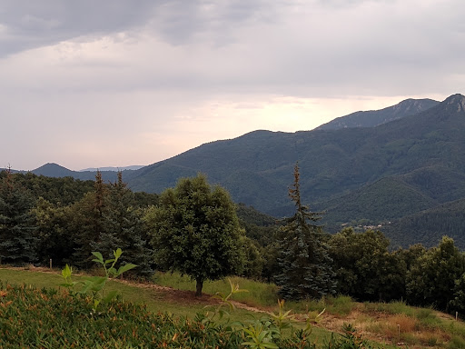 Sant Pere Desplà - Thumbnail