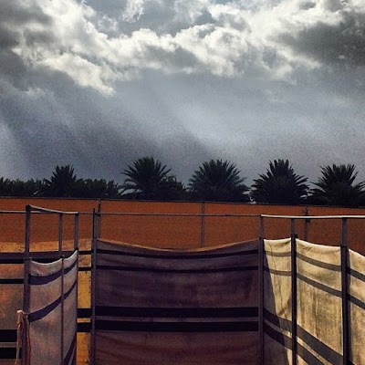 Photos of Al amimi farm