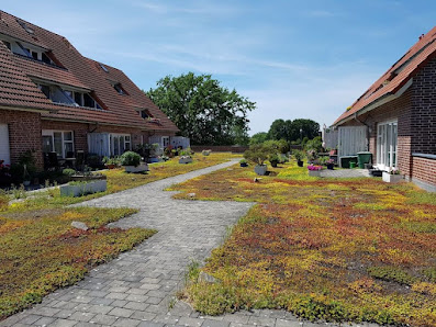 Landschaft