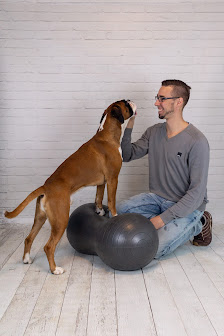 dog-vital.com mobile Hundephysiotherapie und Sporthundbetreuung Hermann-Löns-Weg 10, 31185 Söhlde, Deutschland