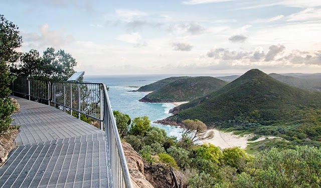 Tomaree Head Summit walk